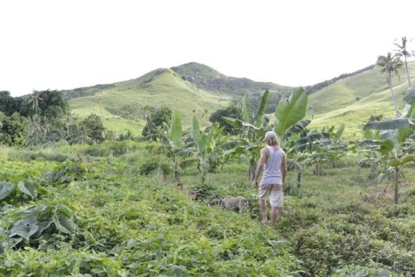 Bay Of Plenty Nature Lodge Nanuya Lailai Dış mekan fotoğraf