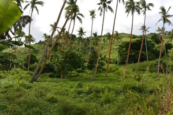 Bay Of Plenty Nature Lodge Nanuya Lailai Dış mekan fotoğraf