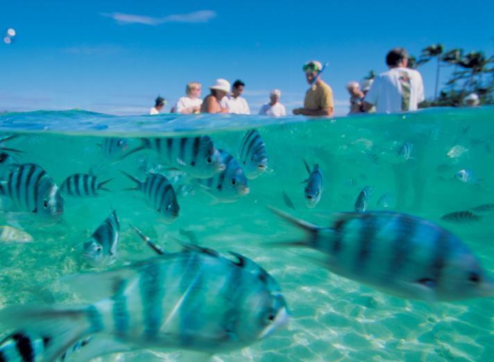 Bay Of Plenty Nature Lodge Nanuya Lailai Dış mekan fotoğraf